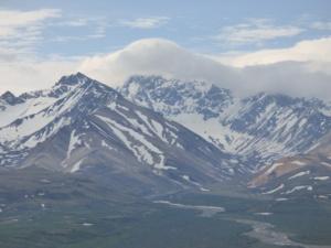 Denali National Park Alaska