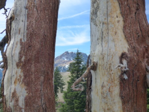 Lassen Volcanic National Park California