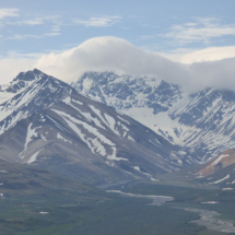 Denali National Park Alaska