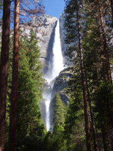 Yosemite Falls California