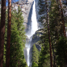 Yosemite Falls California